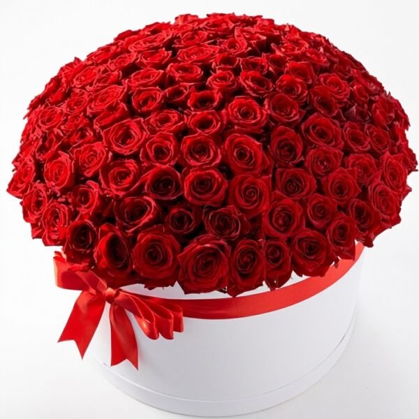 100 Red Roses Luxury Box 100 Red Roses Luxury Box: dense red roses in a round white box with a red bow