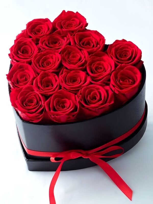17 Red Roses Heart Box – black heart box بوكس 17 وردة حمراء على شكل قلب: ورود حمراء زاهية في بوكس أسود على شكل قلب بشريطة حمراء