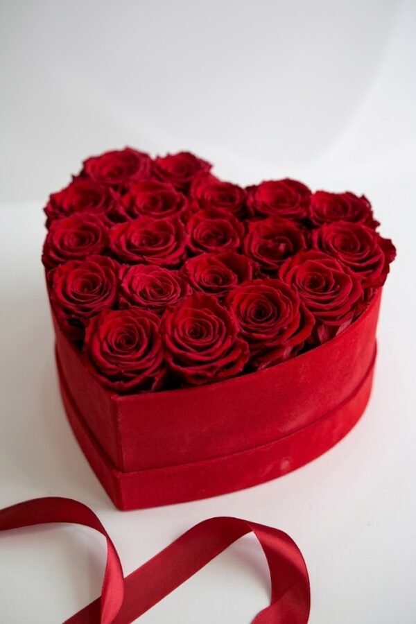 17 Red Roses Heart Box – red velvet box بوكس 17 وردة حمراء على شكل قلب في علبة قلب مخملية حمراء، مع شريطة حمراء أمامها